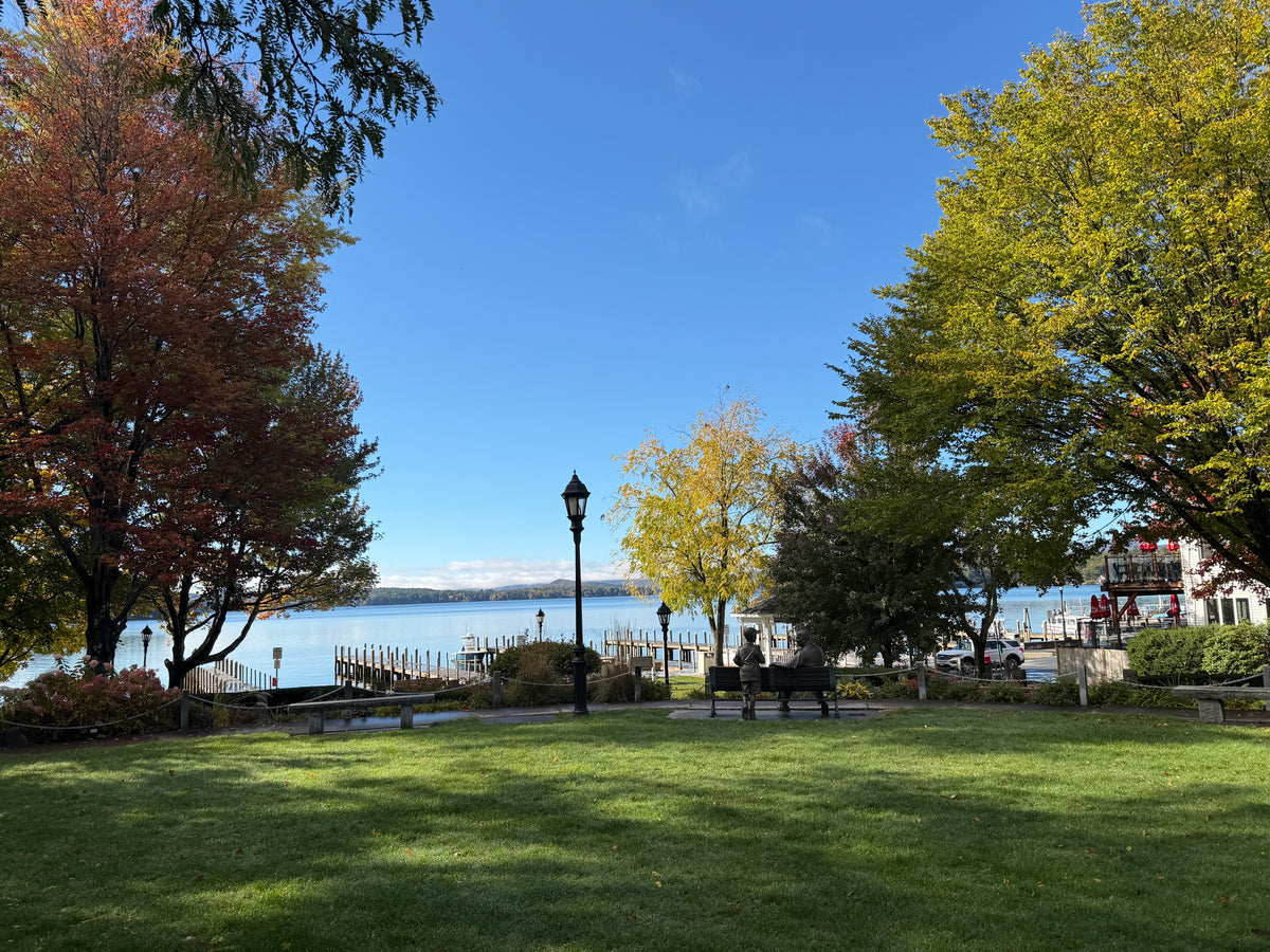 A scenic park view with a green lawn, trees in autumn colors, benches, and a lake under a clear blue sky.